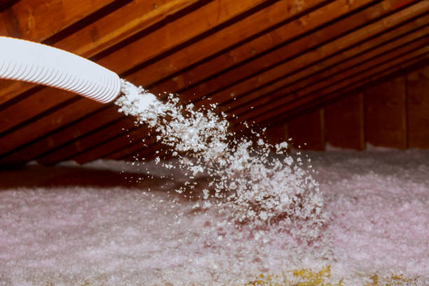 Best Insulation Maintenance and Repair in St Marys, OH